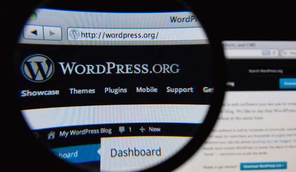 Site web WordPress Terrebone